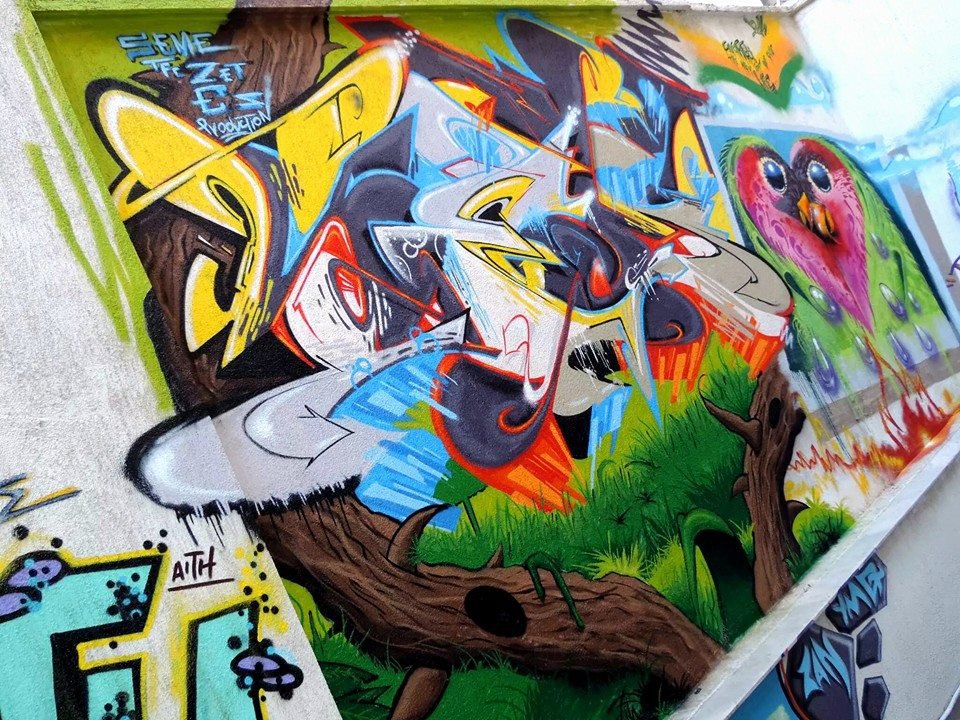 Graffiti Wall - Photo by SemeTFC - seme, tfc, wall (2014)