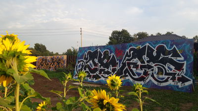 Graffiti of the Week 11/2022