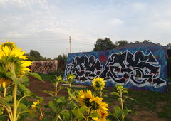 Photo #236036 by BugZBuNNy