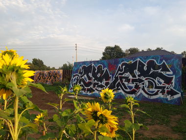 Graffiti Wall - Photo by SenRix (2021)