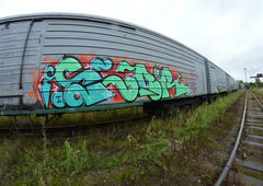 Photo #17132 by TBWSLAEDO