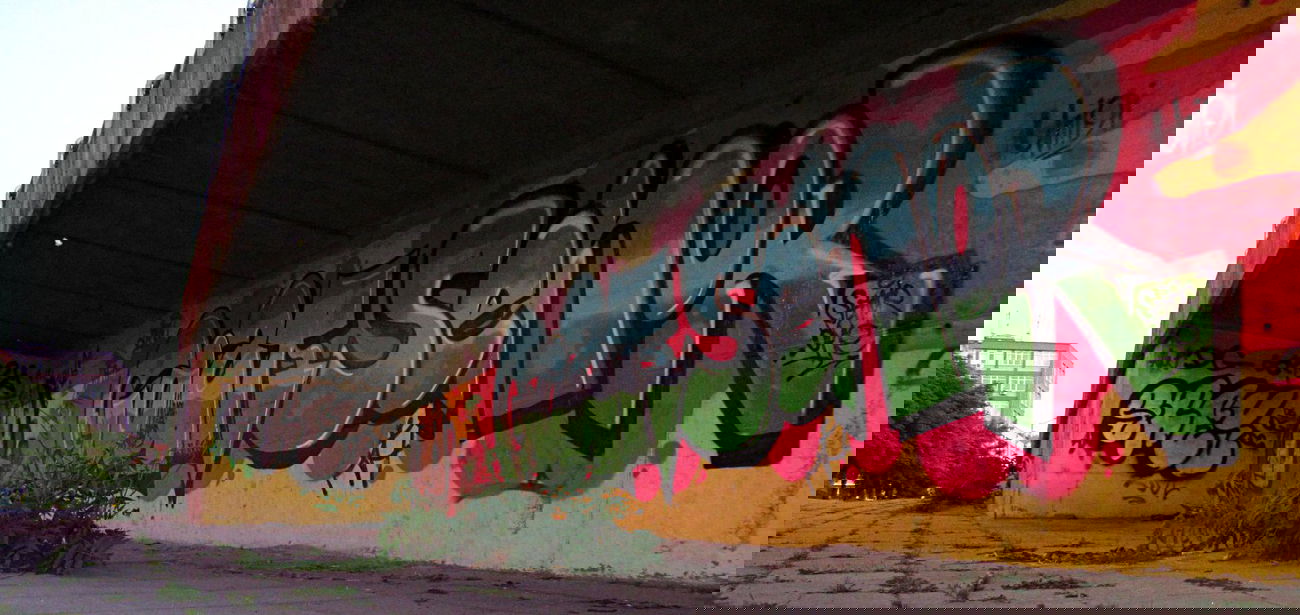 Graffiti Bombing in Sofia - Photo by Senor - Goat, Senor, Lbc (2013)