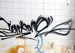 Photo #138412 by Belt