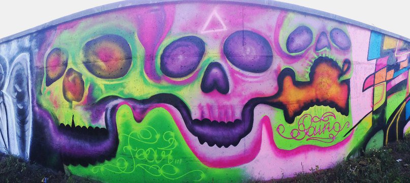 Graffiti Wall - Photo by SergoFenix - skulls, sergo, fenix (2013)