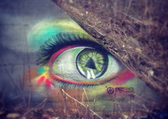 Photo #104185 by Cose41