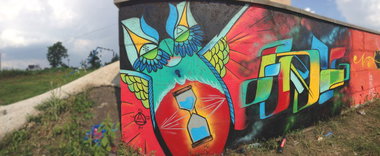 Graffiti Wall - Photo by SergoFenix - skulls, sergo, fenix (2013)