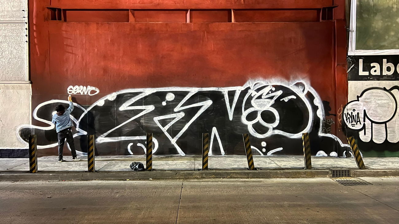 Graffiti Bombing - Photo by Serno - serno, hcnk, ilegal (2026)