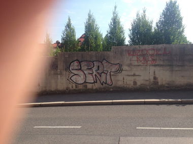 Graffiti Bombing - Photo by Sert - wien, street (2014)