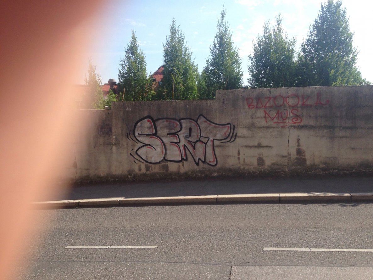 Graffiti Bombing - Photo by Sert - wien, street (2014)