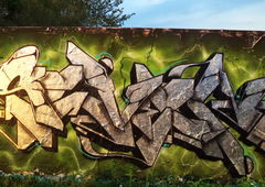 Photo #153150 by Belt