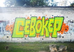 Photo #229621 by Belt