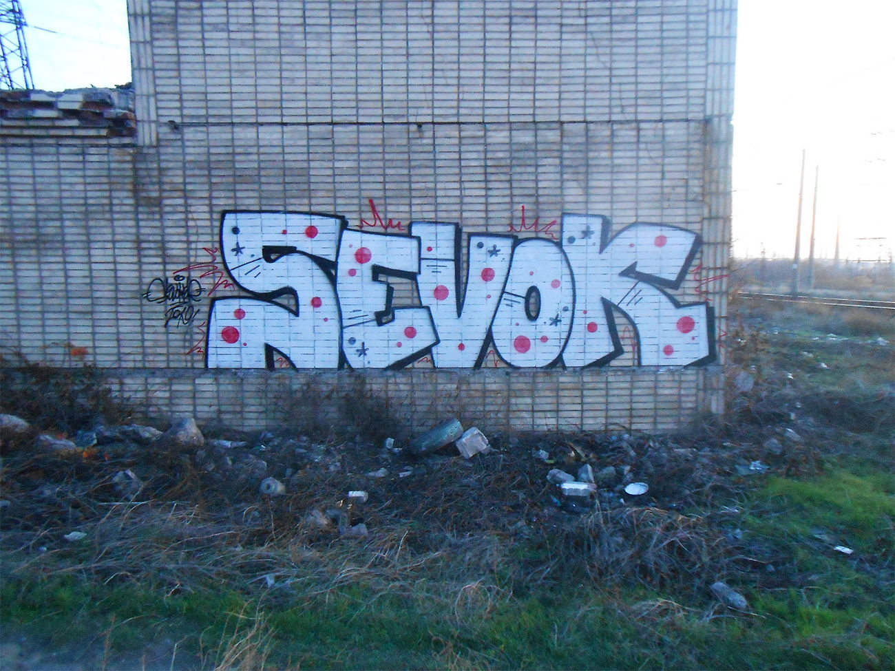 Graffiti Wall - Photo by Sevok