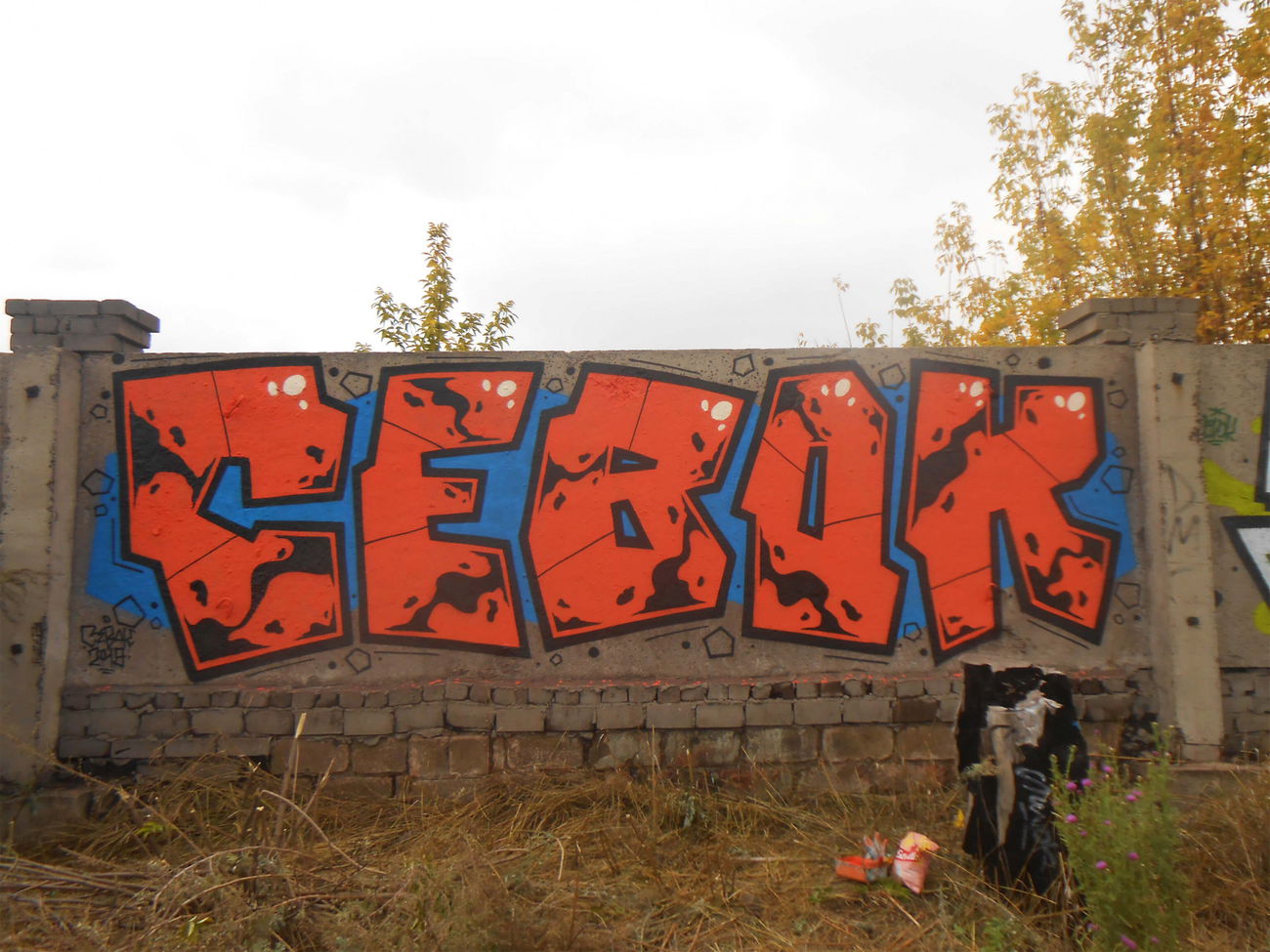 Graffiti Wall - Photo by Sevok