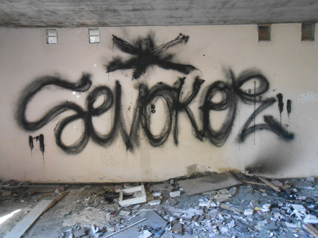 Graffiti Wall - Photo by Sevok