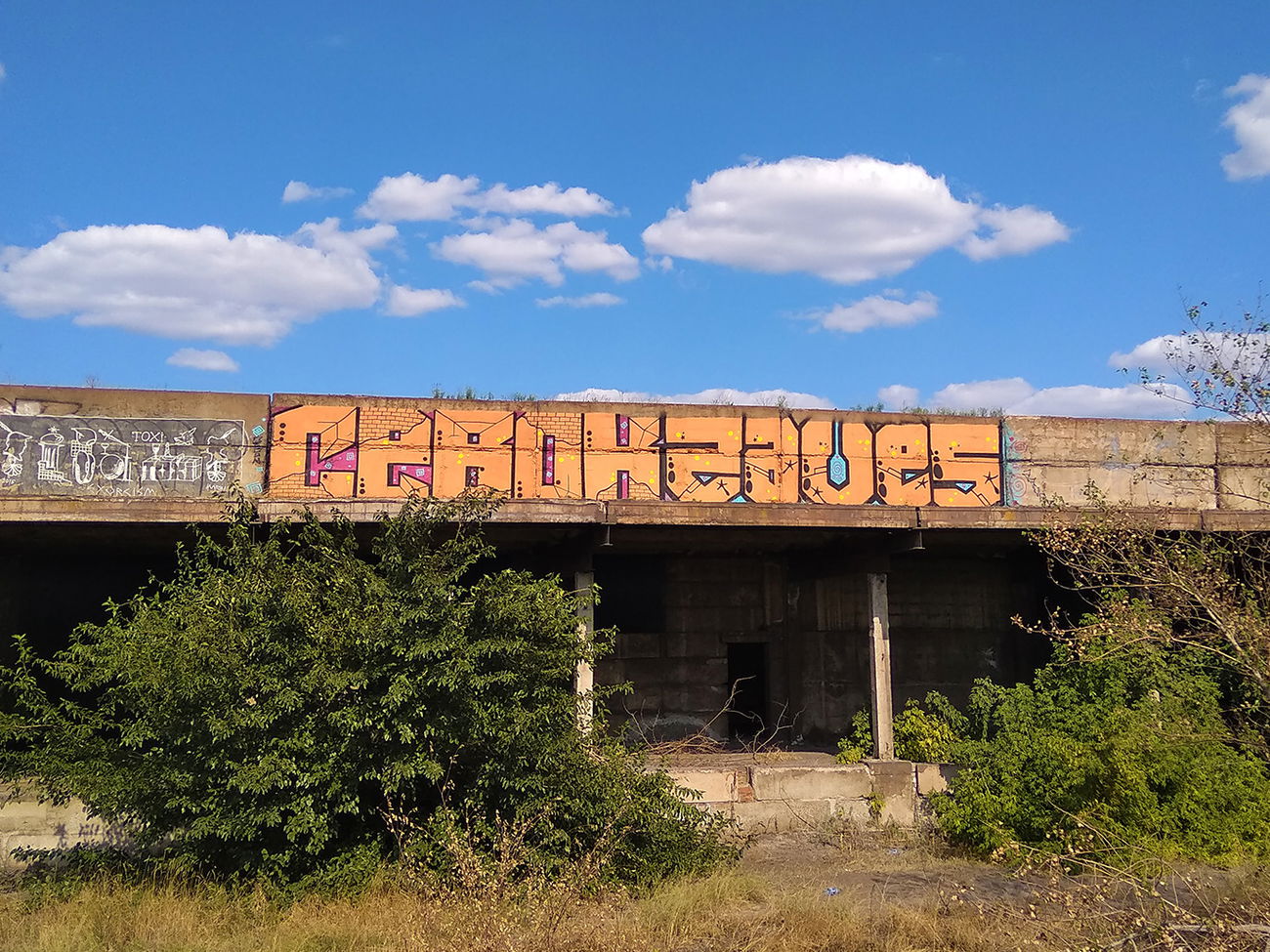 Graffiti Wall - Photo by Sevok