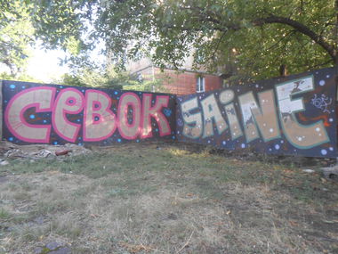 Graffiti Wall - Photo by Sevok