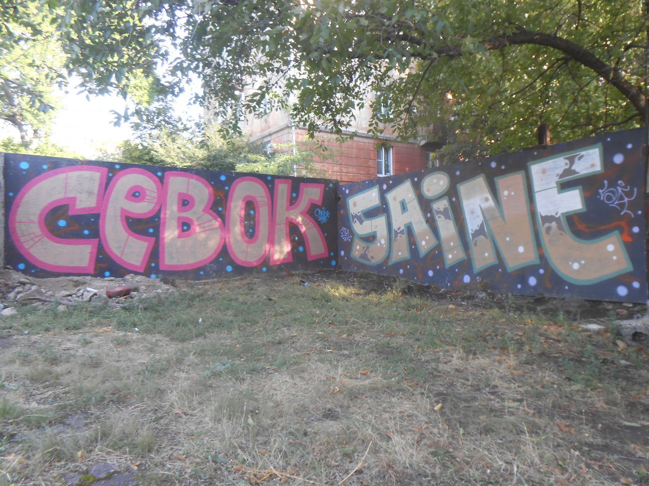 Graffiti Wall - Photo by Sevok