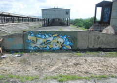 Photo #11478 by torfs1