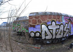 Photo #41340 by Belt