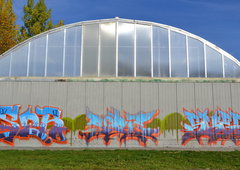 Photo #41346 by Belt