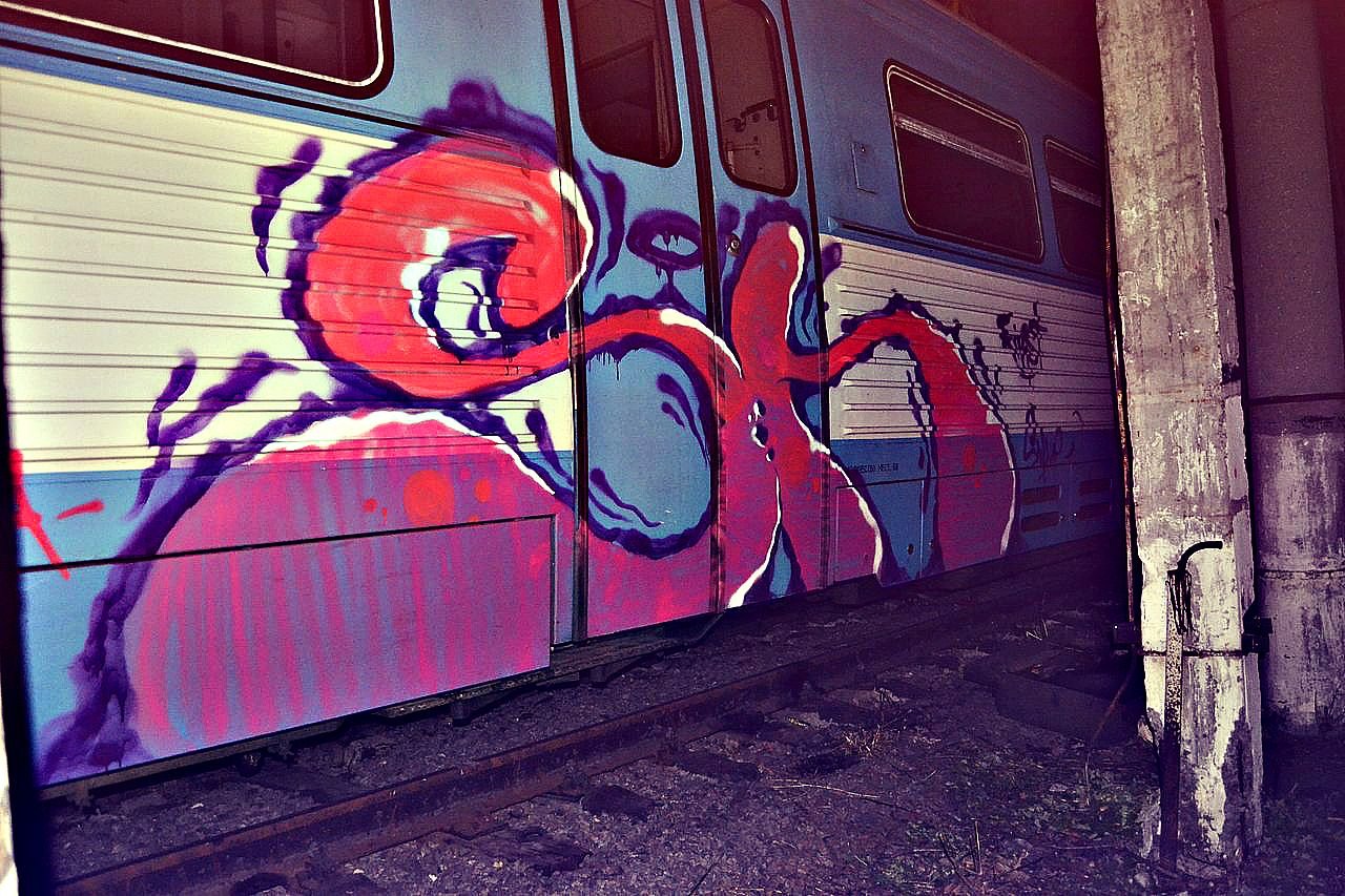 Graffiti Train - Photo by Shakeee_ (2013)