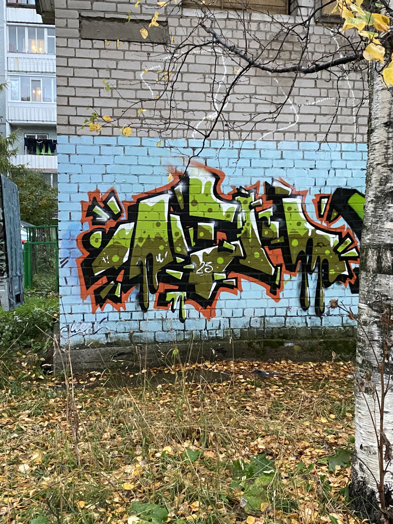 Graffiti Wall - Photo by Shene - mural, prodsction, shene (2023)