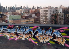 Photo #23028 by User1312