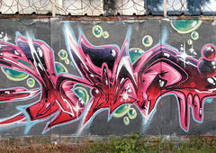 Photo #195766 by Belt