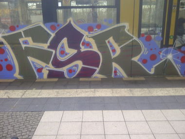Graffiti Bombing - Photo by Shizzler - FSR