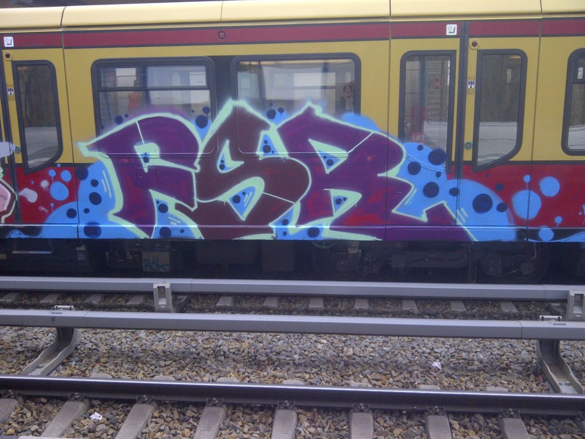 Graffiti Train - Photo by Shizzler - FSR