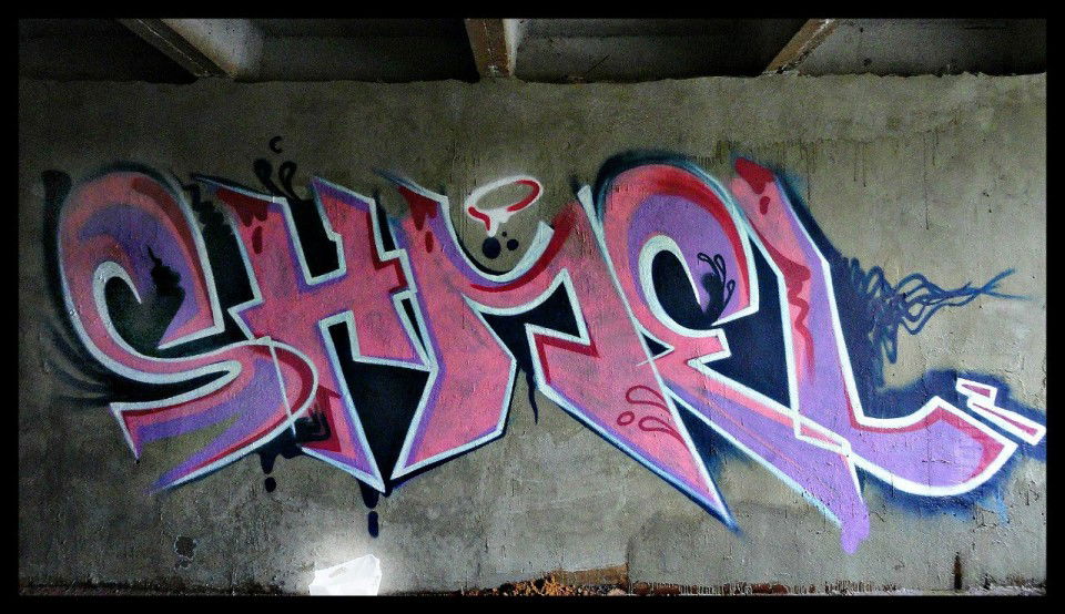 Graffiti Wall in Gus-Khrustalny - Photo by Shmel - Shmel, Tfs, crew (2013)