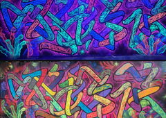 Graffiti Wall - Photo by Shoker (2021)