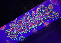 Graffiti Artwork in West palm - Photo by Shoker - shoker, graffiti, wildstyle (2021)