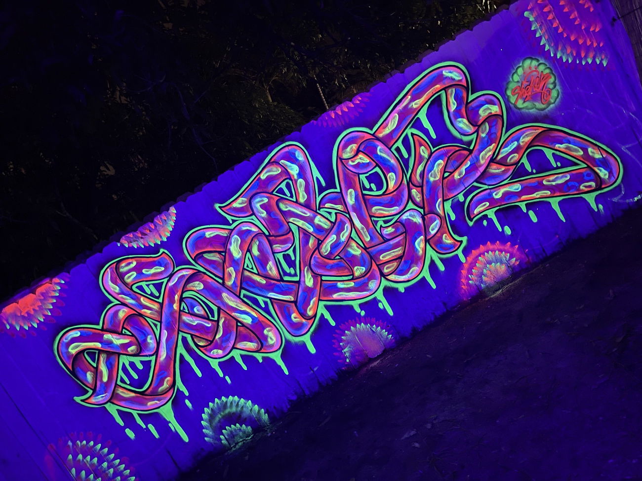 Graffiti Artwork in West palm - Photo by Shoker - shoker, graffiti, wildstyle (2021)