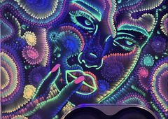 Graffiti Wall in Florida - Photo by Shoker - shoker, shoker_Art1, mural (2022)