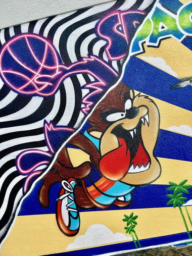 Graffiti Wall in Orlando - Photo by Shoker - mural, shoker, Art1 (2024)