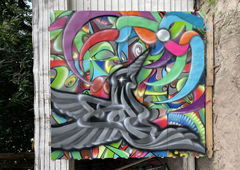 Graffiti Artwork in Fort lauderdale - Photo by Shoker - shoker, graffiti, wildstyle (2021)