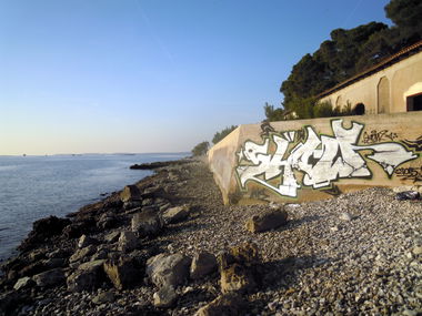 Graffiti Wall - Photo by Showtime