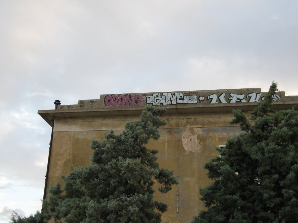 Graffiti Wall - Photo by Showtime