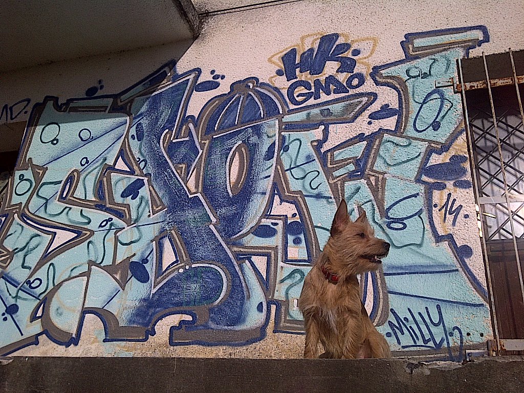 Graffiti Wall - Photo by Showtime
