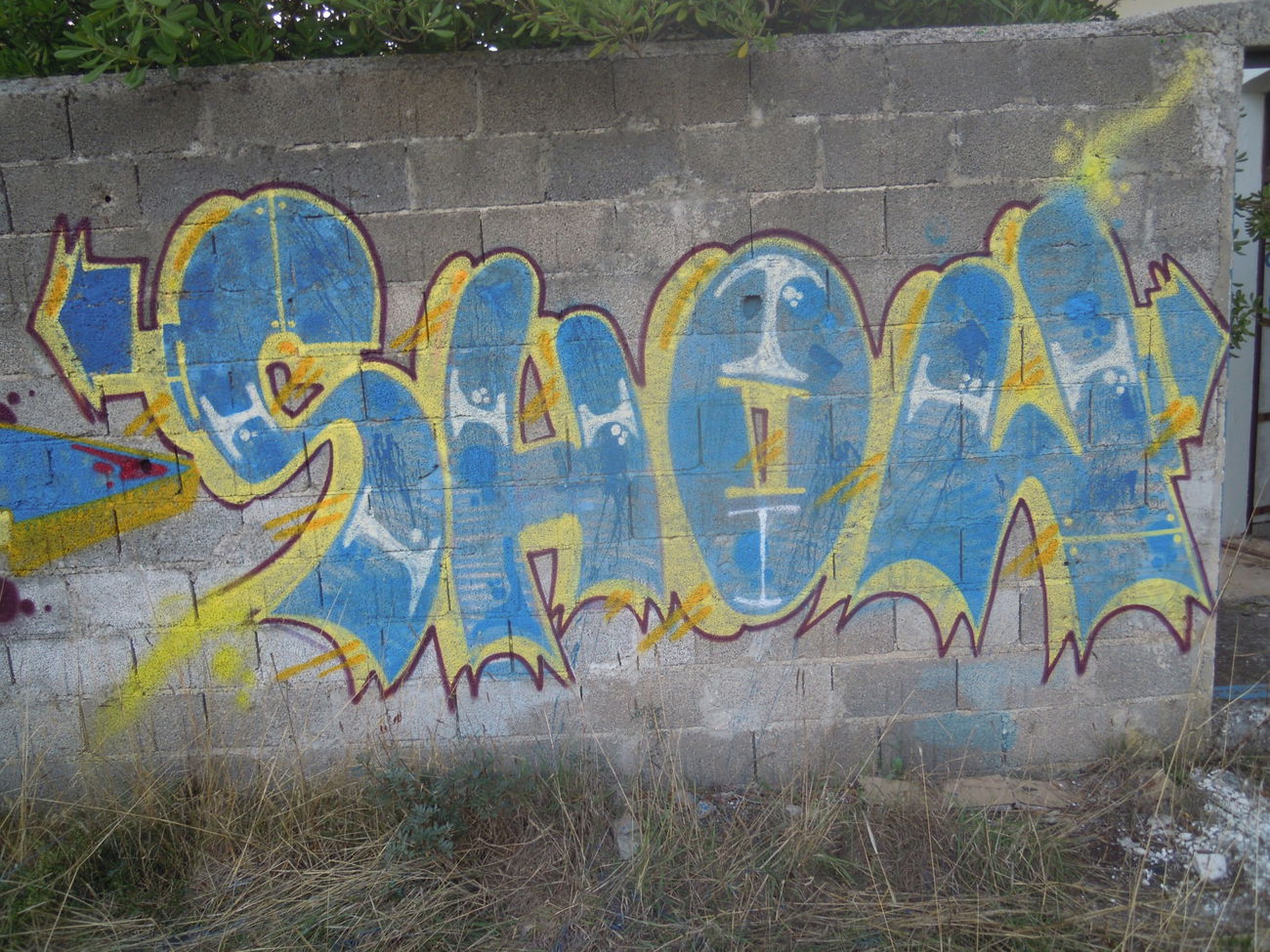 Graffiti Wall - Photo by Showtime