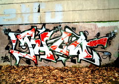 Photo #177815 by POE26