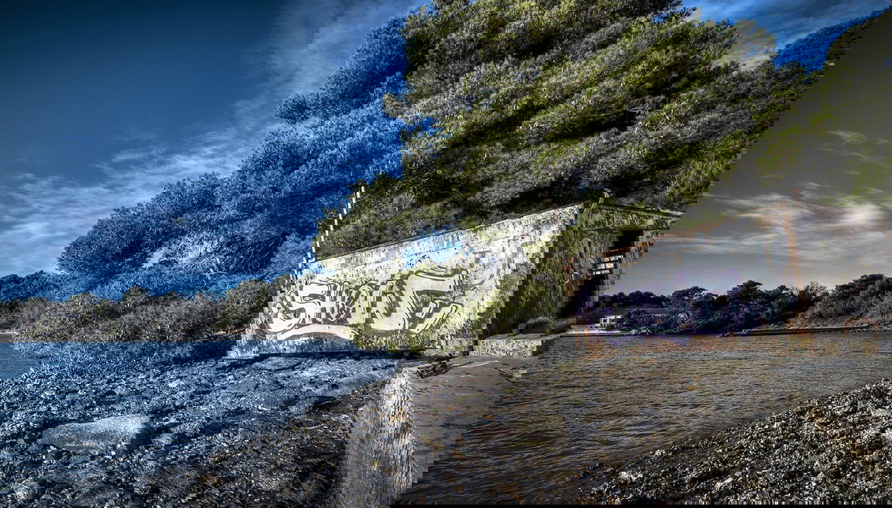 Graffiti Bombing - Photo by Showtime