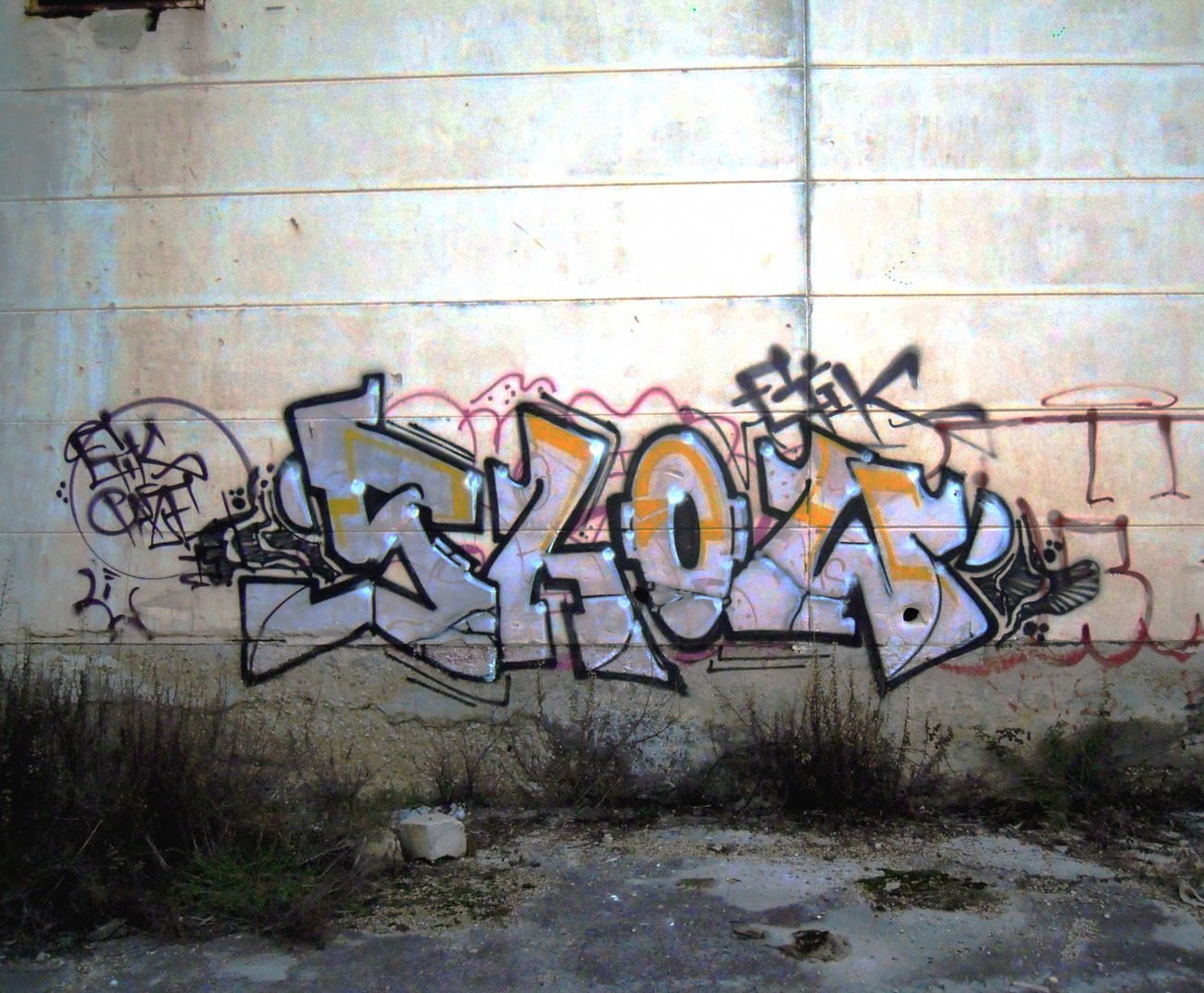 Graffiti Wall - Photo by Showtime