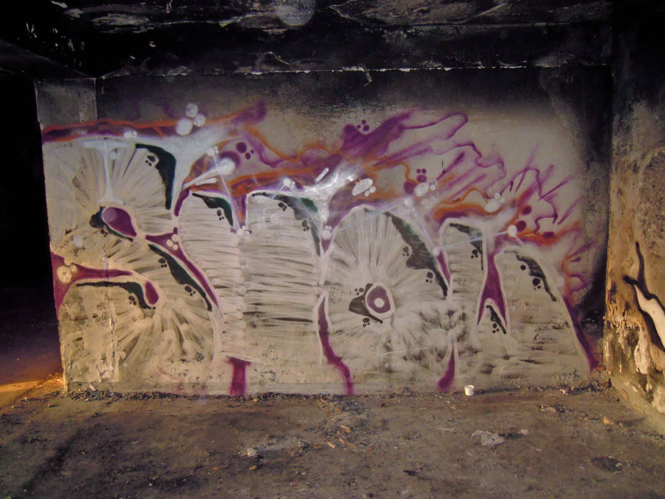 Graffiti Bombing - Photo by Showtime