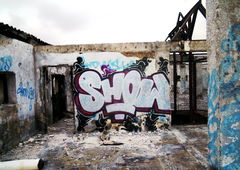 Photo #177588 by twak1