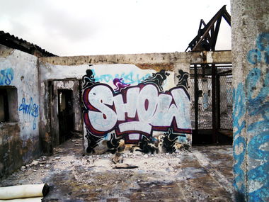 Graffiti Wall - Photo by Showtime