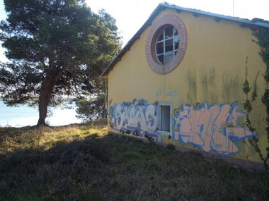 Graffiti Wall - Photo by Showtime