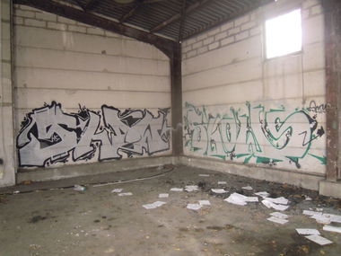 Graffiti Bombing - Photo by Showtime
