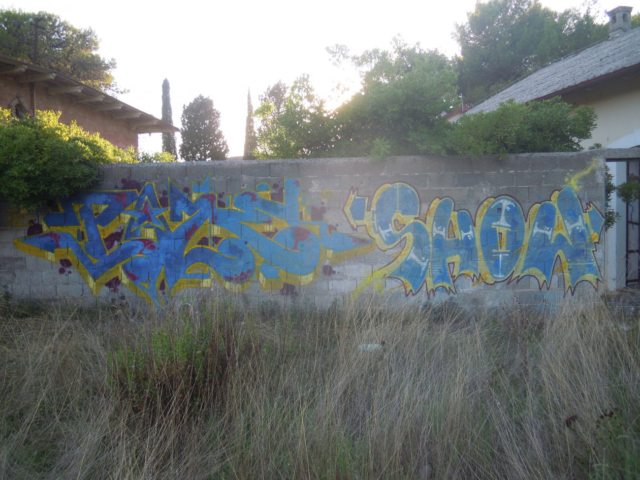 Graffiti Wall - Photo by Showtime